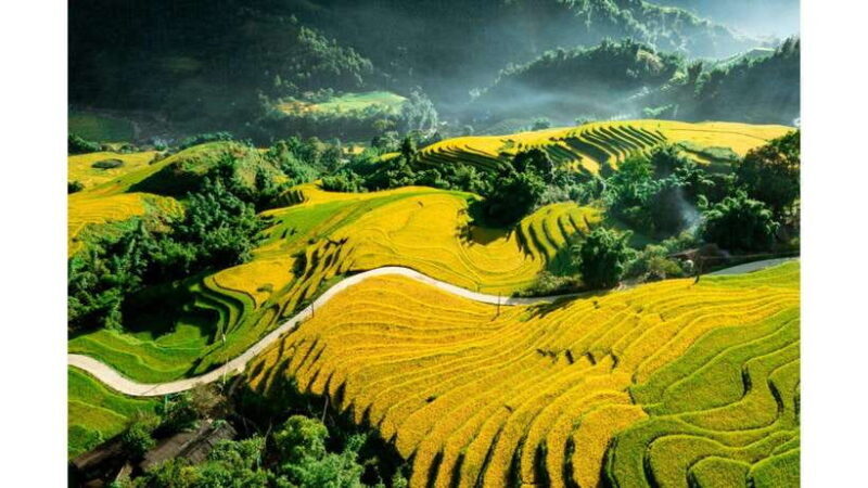 2-Day Sapa Tour from Hanoi with Homestay and Meals Included - Day 1: Trekking Through Rice Terraces and Visiting Lao Chai and Ta Van