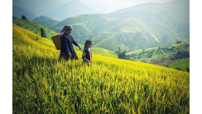 2-Day Sapa Tour from Hanoi with Homestay and Meals Included - Authentic Experiences and Traveler Feedback