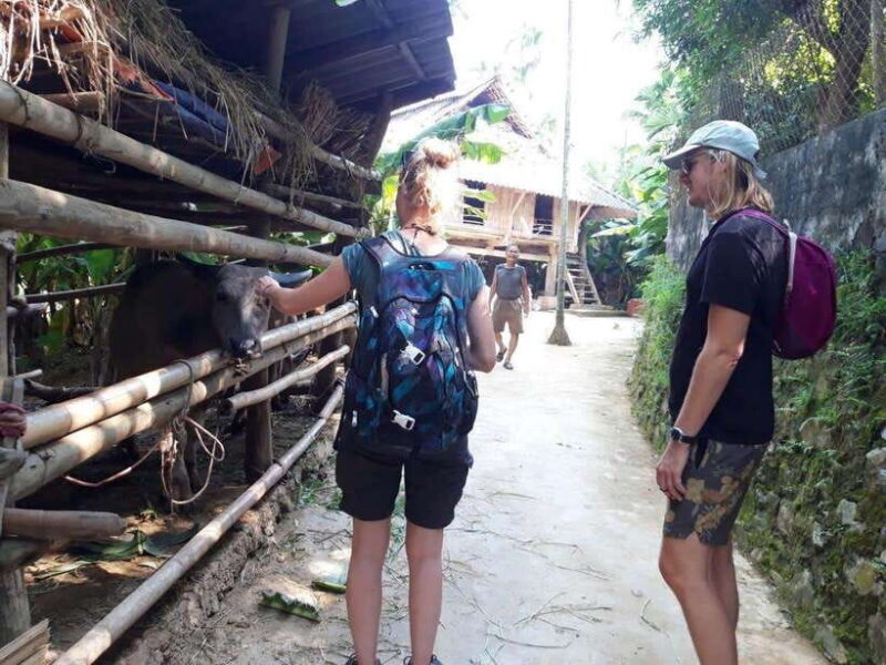 2 Day Scenic Escape To Mai Chau Pu Luong Nature Reserve Tour - Who Is This Tour Best For?