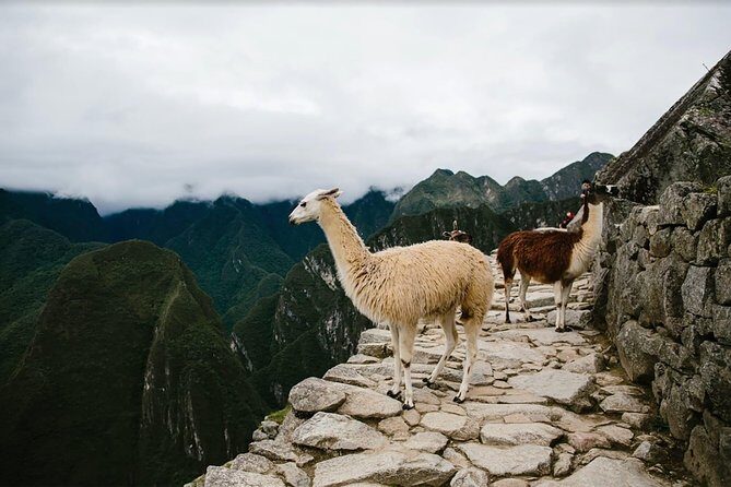 2-Day Short Inca Trail to Machu Picchu - Transport and Logistics: Seamless and Well-Arranged
