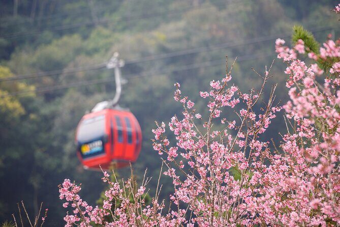 2-Day Sun Moon Lake Private Tour from Taipei - Exploring the Itinerary in Detail