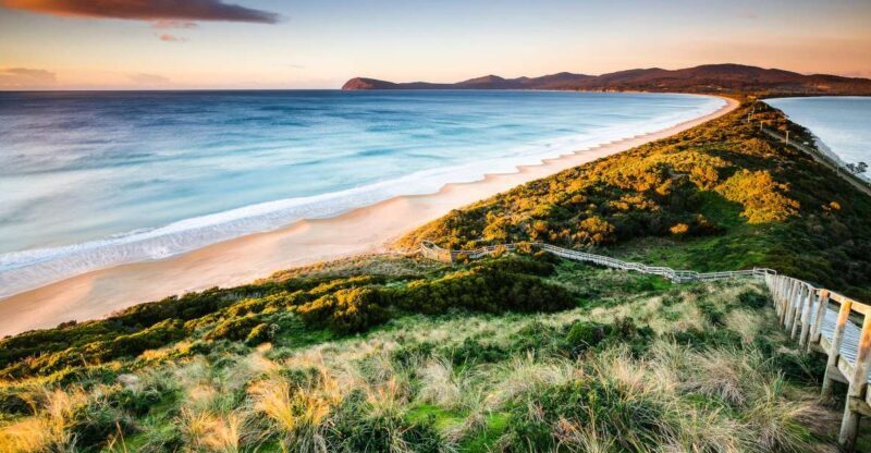 2 Day Tasmanian Highlights Tour - Bruny Island & Port Arthur - Transportation, Guide, and Value