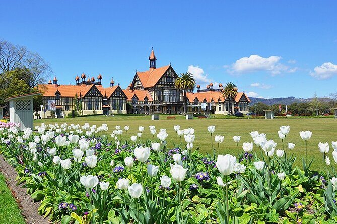 2 Day Tour Auckland to Hobbiton, Waitomo, Rotorua and Taupo - What Makes This Tour Stand Out?