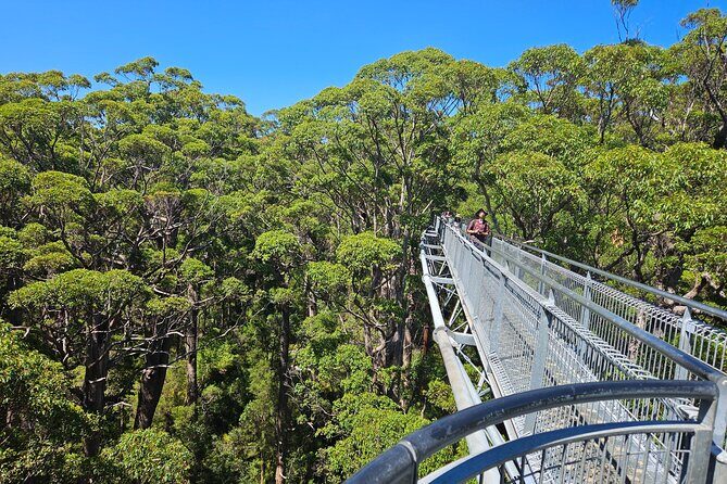 2 Day Tour Busselton Jetty, Ngilgi Cave to Valley of the Giants - An In-Depth Look at the 2-Day Western Australia Adventure