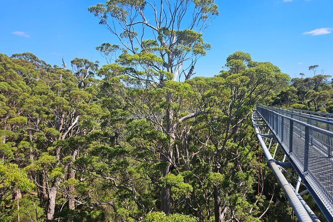 2 Day Tour Busselton Jetty, Ngilgi Cave to Valley of the Giants - Final Thoughts