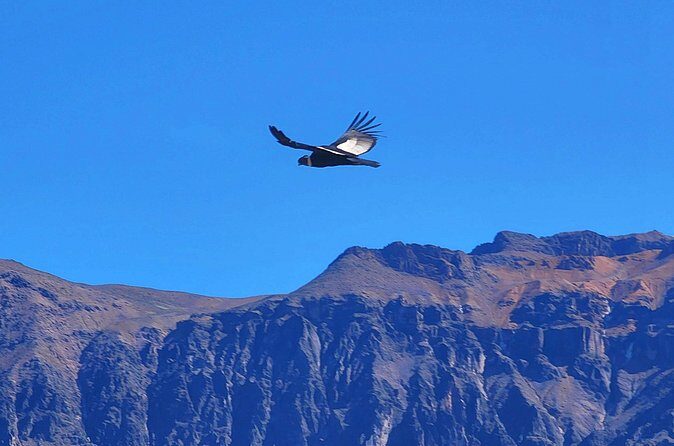 2-Day tour Colca Canyon ending in Puno - FAQ
