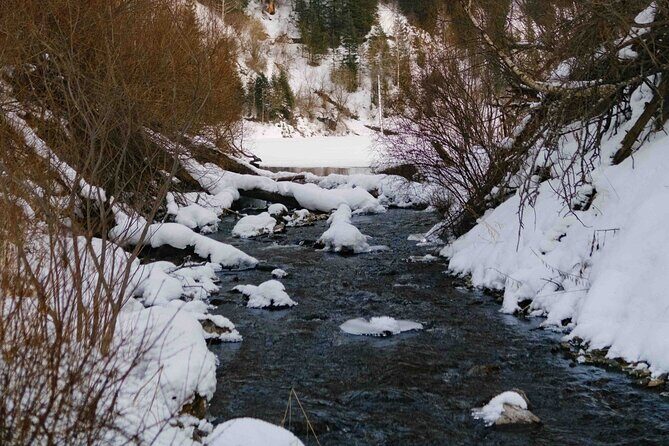 2 Day Tour Explore Charyn Canyons Kolsay and Kaindy Lake - Why We Love This Experience