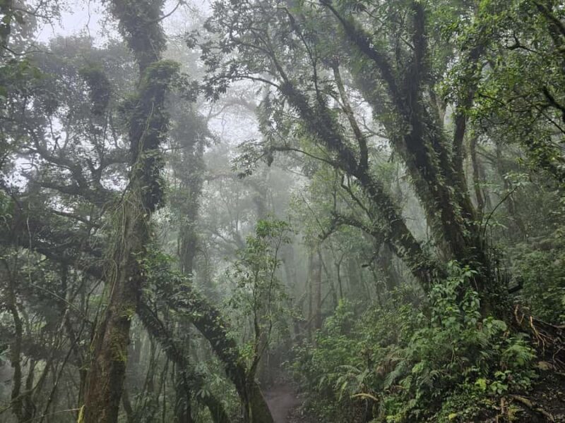 2-day tour from Antigua 1 night in Acatenango Volcano - Final Thoughts