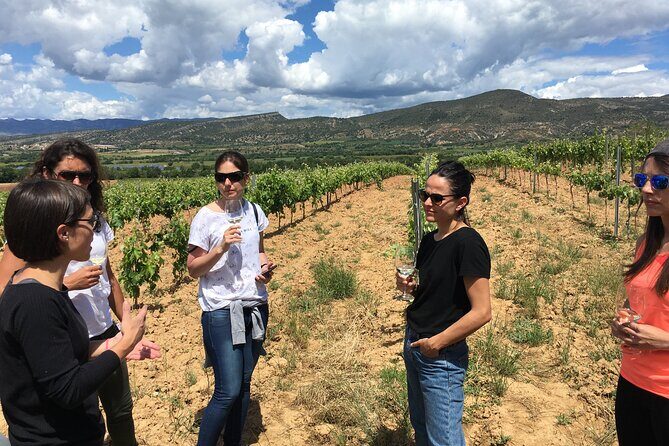 2-Day Tour: Gaudi & Sagrada Familia + Montserrat & Winery - Exploring Barcelona with a Personal Guide