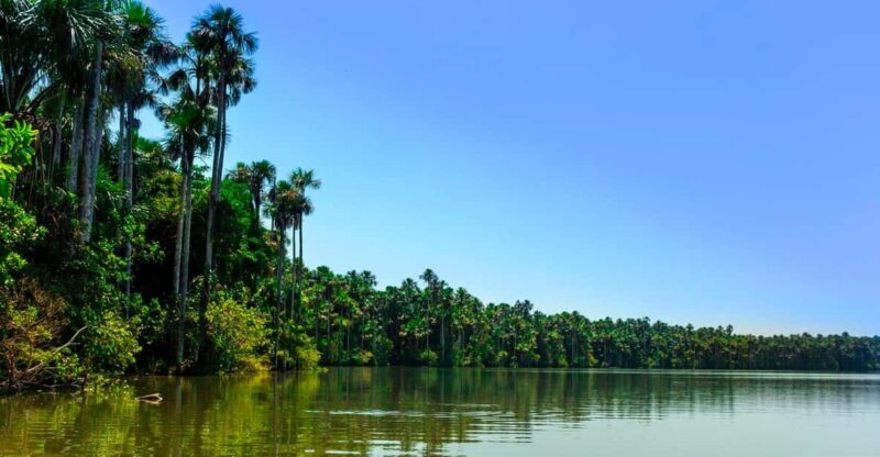 2 Day Tour in Tambopata Amazon - The Value of This Tour