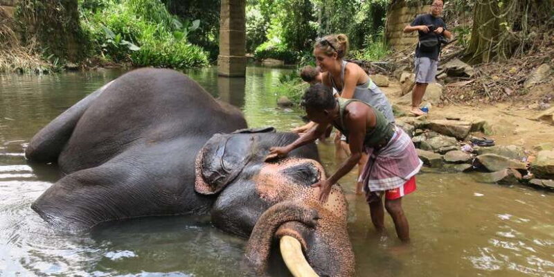 2 Day Tour Pinnawala/Sigiriya From Kandy - Exploring the 2-Day Pinnawala & Sigiriya Tour in Detail