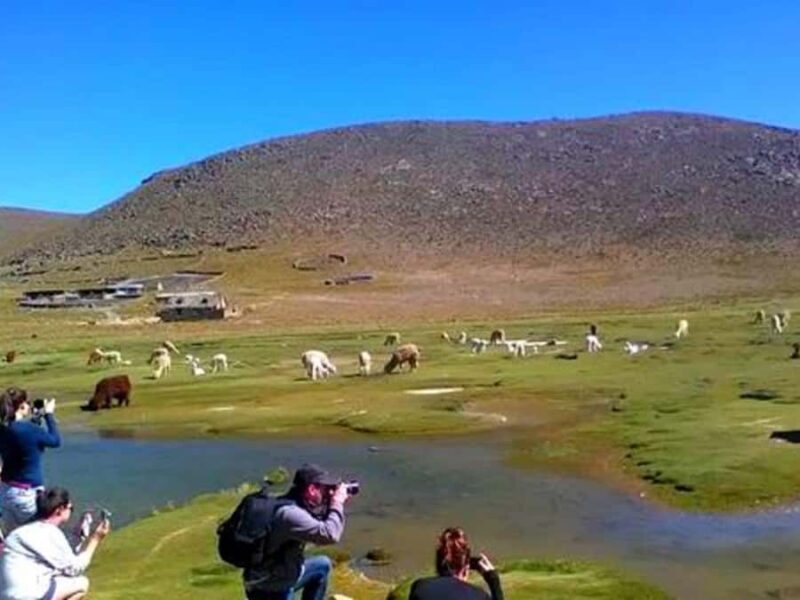 2-Day Tour to the Colca Canyon Ending in Puno - FAQ