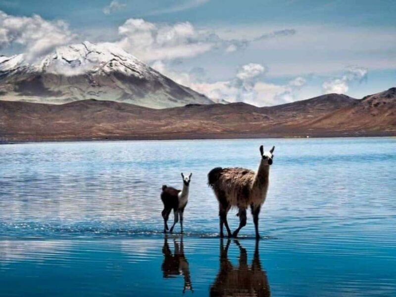 2-day tour to the Colca Valley and the Cruz del Condor - Who Would Love This Tour?