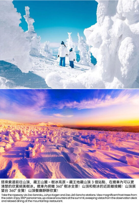 2-Day Tour: Zao Ropeway, Ginzan Onsen, Fox Village, Okurayama (Hotel Breakfast, Dinner) - Miyagi Zao Fox Village: cute, but check the day’s conditions
