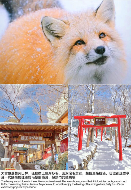 2-Day Tour: Zao Ropeway, Ginzan Onsen, Fox Village, Okurayama (Hotel Breakfast, Dinner) - What the price covers, and what it doesn’t