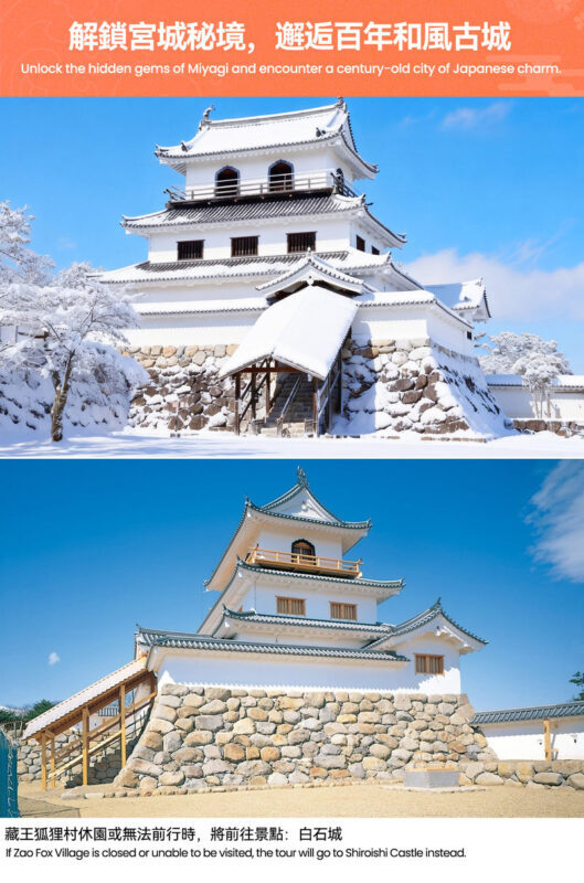 2-Day Tour: Zao Ropeway, Ginzan Onsen, Fox Village, Okurayama (Hotel Breakfast, Dinner) - Should you book this Tohoku winter tour?