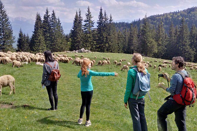 2-Day Transylvania Culture Trek from Brasov - Small Group Tour - FAQs