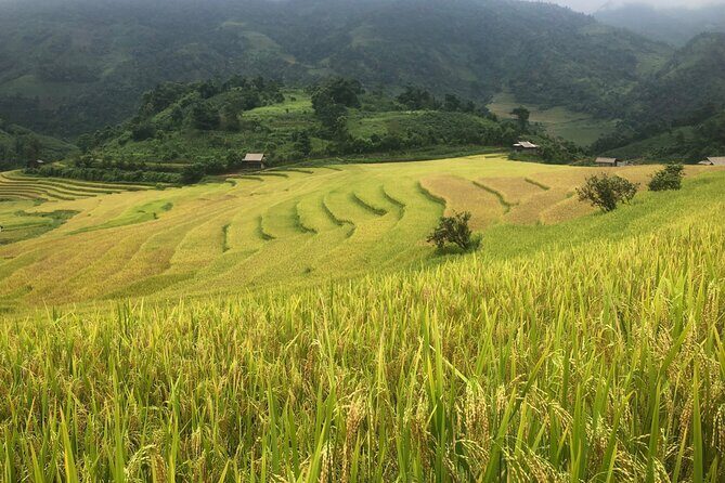 2 Day Trekking Experience: Explore with knowledgeable local guide - Exploring the 2-Day Sapa Trekking Experience