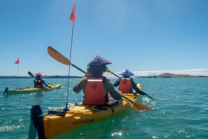 2-Day Waiheke Island Sea Kayak Tour - Key Points