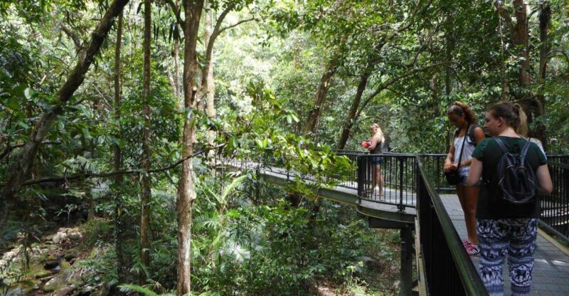 2-Day Waterfall and Daintree Tour - Key Points