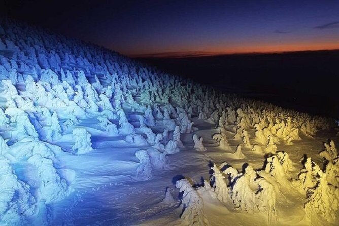 2-Day Zao Snow Monsters Light-Up and Onsen Tour from Tokyo - Key Points
