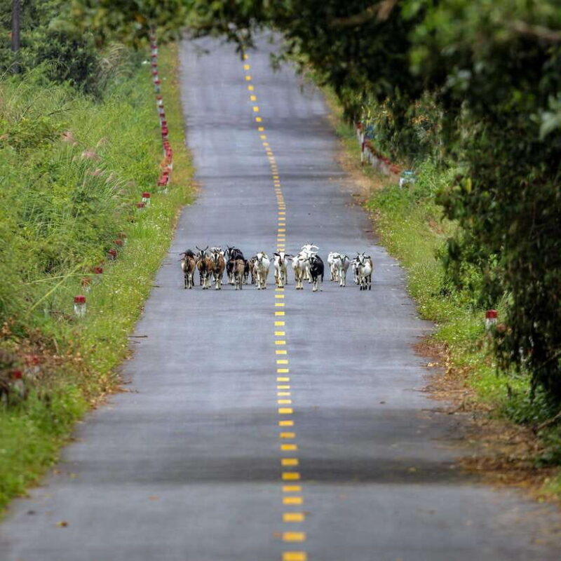 2 Days 1 Night Adventure: Cat Ba National Park, Lan Ha Bay - Why This Tour Offers Great Value