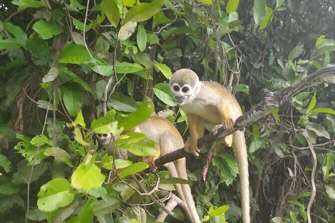 2 Days 1 Night at the Juma Lake Lodge - Transportation & Group Size