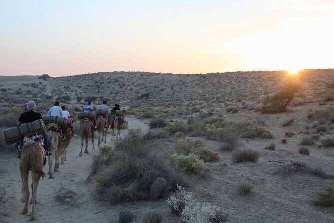 2 Days-1 Night Camel Tour - Exploring the Itinerary in Detail