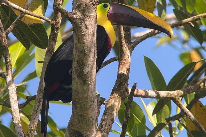 2 Days 1 Night Corcovado Jungle Adventure Sirena Ranger Station - A 2-Day Jungle Escape in Costa Ricas Corcovado National Park