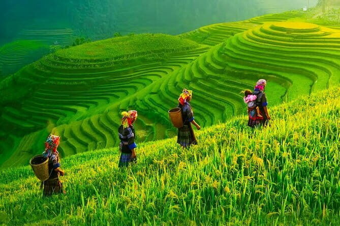 2 Days 1 Night Discovery Mai Chau Hidden Valley Classic Tour - A Detailed Look at the 2-Day Mai Chau Tour