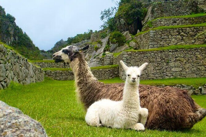 2 Days 1 Night in Machu Picchu with Tourist Train and Entrance - Authenticity and Value