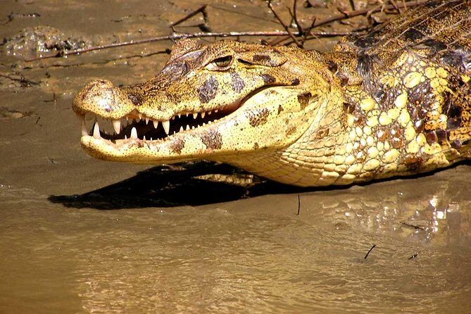 2 days 1 night  Peruvian Tambopata Jungle - FAQ