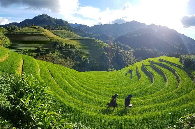 2 Days 1 Night Sapa Trekking Group Tour at Homestay - What to Expect and Why It Matters