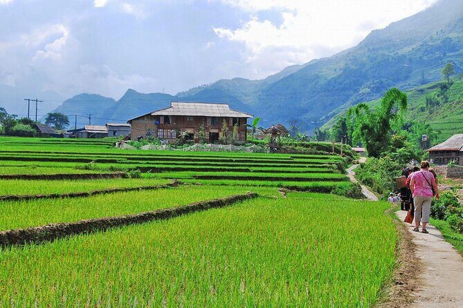 2 Days 1 Night Sapa Trekking Group Tour at Homestay - Final Thoughts