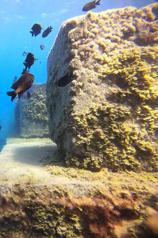 2 DAYS - 3 DIVES - Final Thoughts