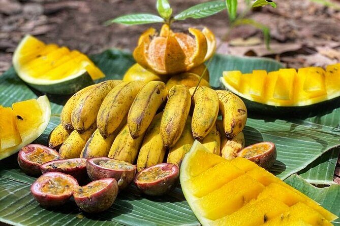 2 Days and 1 Night Ethical Jungle Trek - Who Should Consider This Jungle Trek?