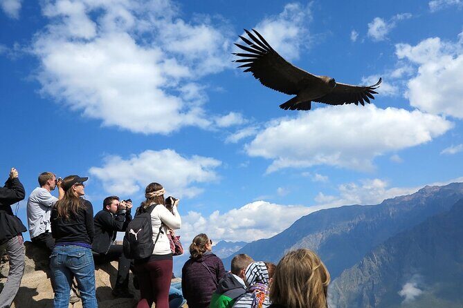 2 Days and 1 Night Tour from Puno to Colca Canyon and Arequipa - Key Points