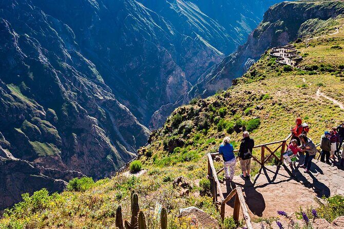 2 Days and 1 Night Tour from Puno to Colca Canyon and Arequipa - Detailed Review of the Tour Experience