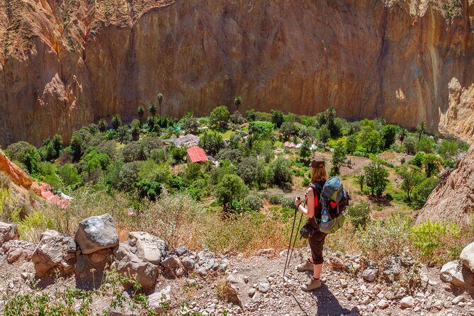 2 Days and 1 Night trekking Through Colca Canyon - Key Points