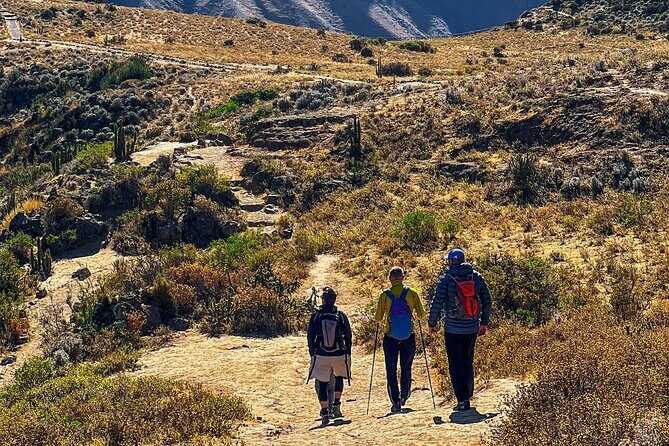 2 Days and 1 Night trekking Through Colca Canyon - Frequently Asked Questions