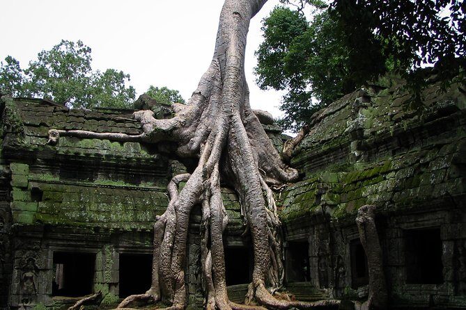 2 Days Angkor Wat Tranquility Tour - The Sum Up