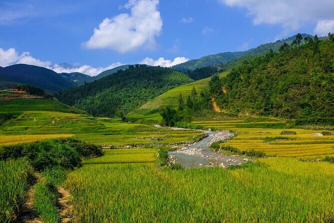 2 days authentic trekking tour in Sapa ( Homestay - Less touristy ) - Why This Tour Stands Out