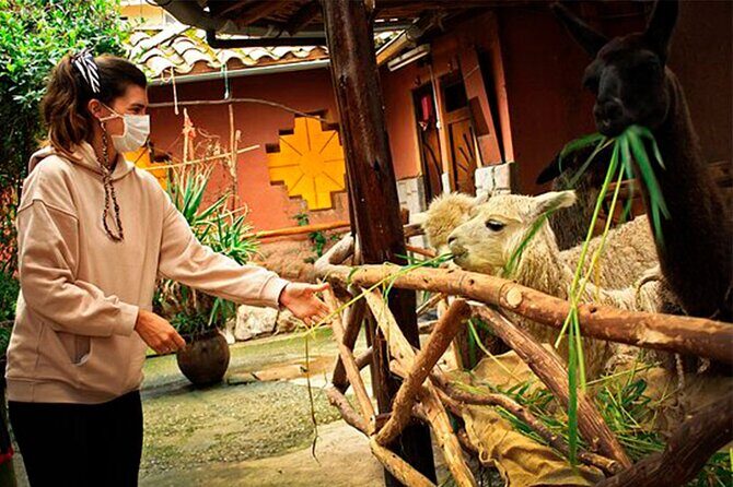 2 Days Best Machupicchu Tour - Private Guided Experience. - Final Thoughts