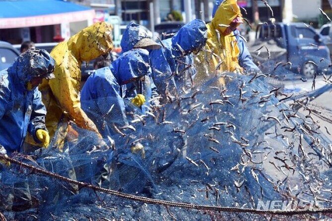 2-DAYS Busan Customized and Included Night tour - Who Should Consider This Tour?