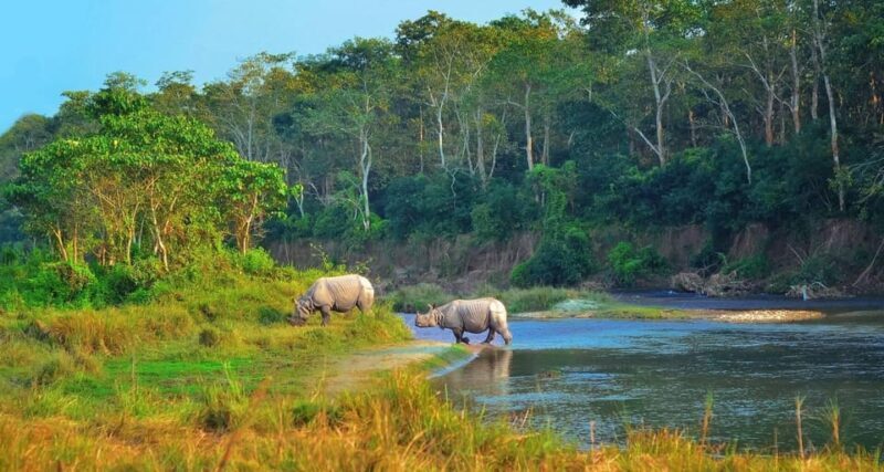 2 Days Chitwan Jungle Safari Tour from Pokhara/Kathmandu - What the Tour Includes and What You Should Know
