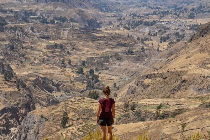 2 Days Colca Canyon Tour with Transfer to Puno - Key Points