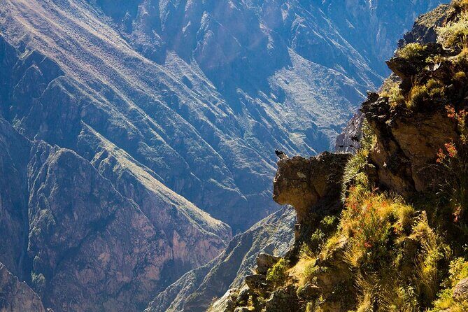 2 Days Colca Canyon Tour with Transfer to Puno - An In-Depth Look at the 2-Day Colca Canyon Tour