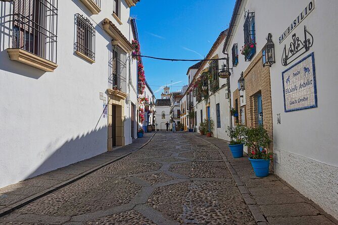 2 Days Cordoba with Mosque Ticket and Hotel Tour - A Closer Look at the 2-Day Cordoba Tour