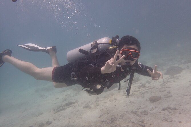 2 Days Diving Trip to Koh Tao Including 4 Dives and Accommodation - The Sum Up