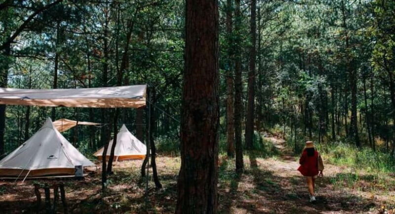 2 Days Eco Trekking Tour in Da Lat - Key Points